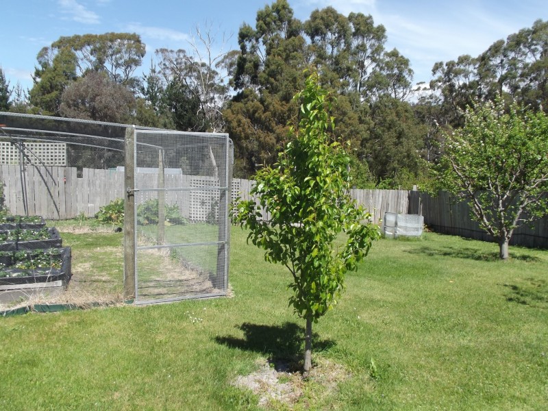 61 Argonaut Road, St Helens TAS 7216