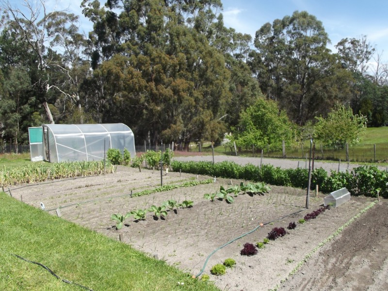 61 Argonaut Road, St Helens TAS 7216