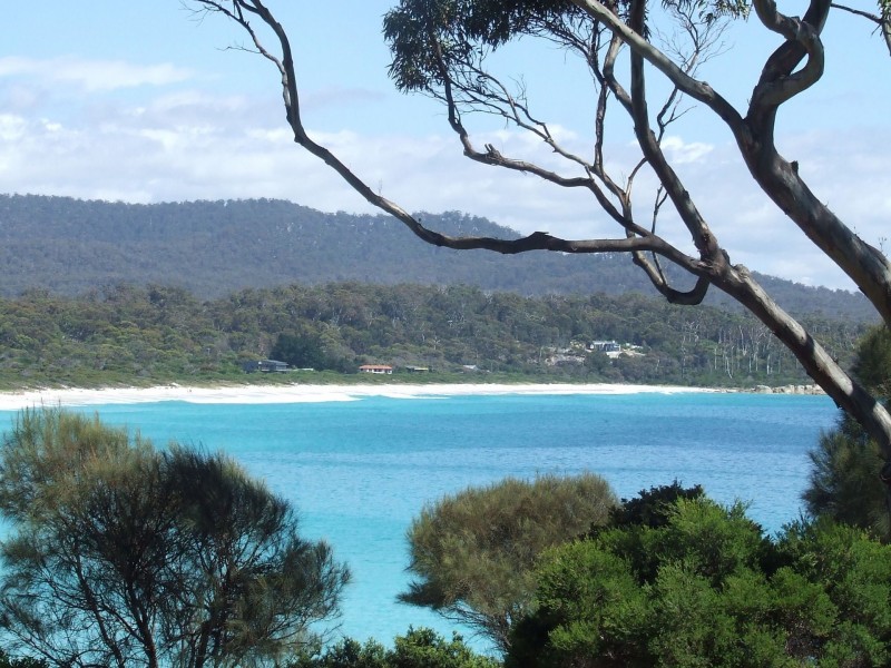 60 Main Road, Binalong Bay TAS 7216