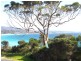60 Main Road, Binalong Bay TAS 7216