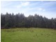 Lot 1 Tasman Highway, Goulds Country TAS 7216