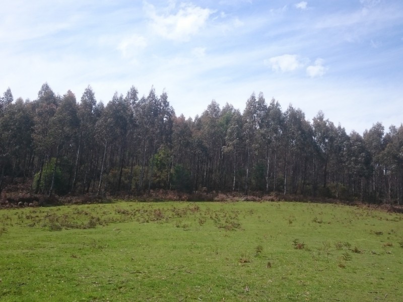 Lot 1 Tasman Highway, Goulds Country TAS 7216
