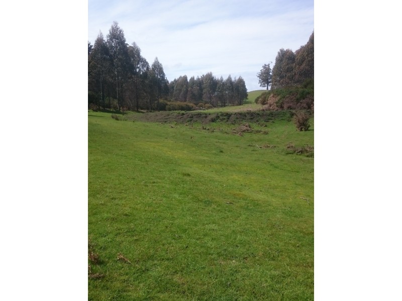 Lot 1 Tasman Highway, Goulds Country TAS 7216