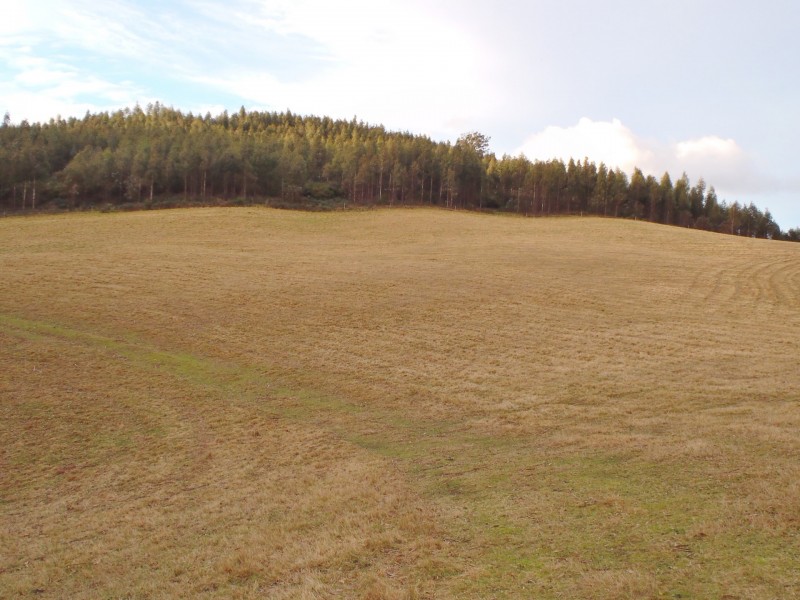 Lot 1 Tasman Highway, Goulds Country TAS 7216