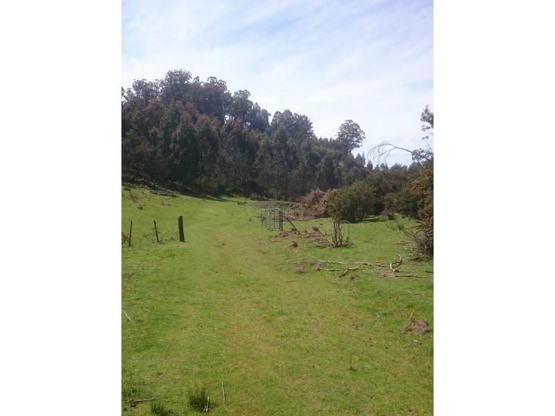 Lot 1 Tasman Highway, Goulds Country TAS 7216