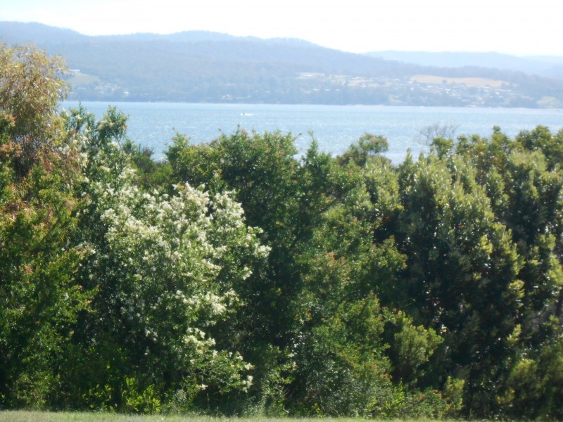 19 Luck Court, Akaroa TAS 7216