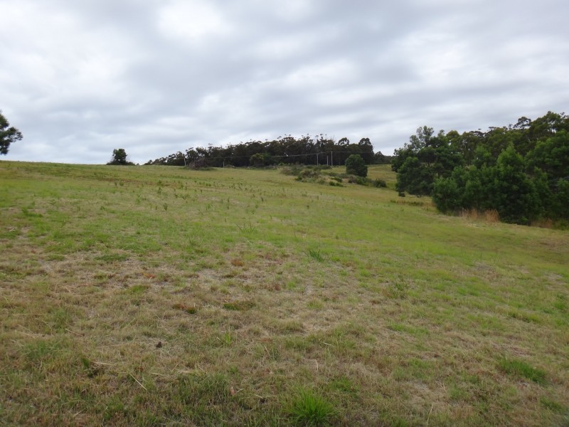 13 Susan Court, St Helens TAS 7216