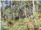 1 Irishtown Road, St Marys TAS 7215