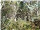 1 Irishtown Road, St Marys TAS 7215