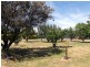 57 Quail Street, St Helens TAS 7216
