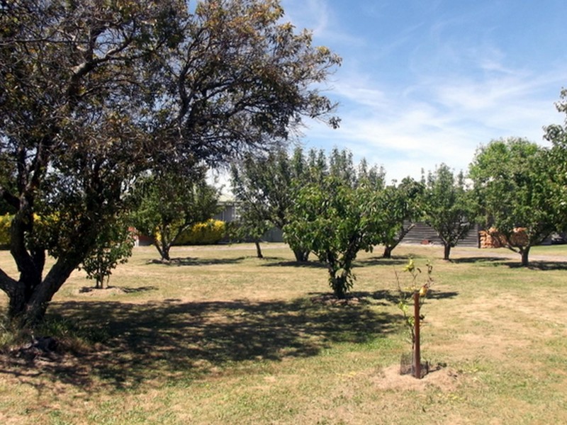 57 Quail Street, St Helens TAS 7216