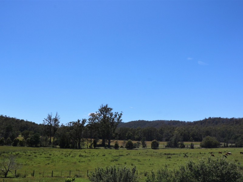 26982 Tasman Highway, Goshen TAS 7216