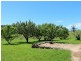 26982 Tasman Highway, Goshen TAS 7216