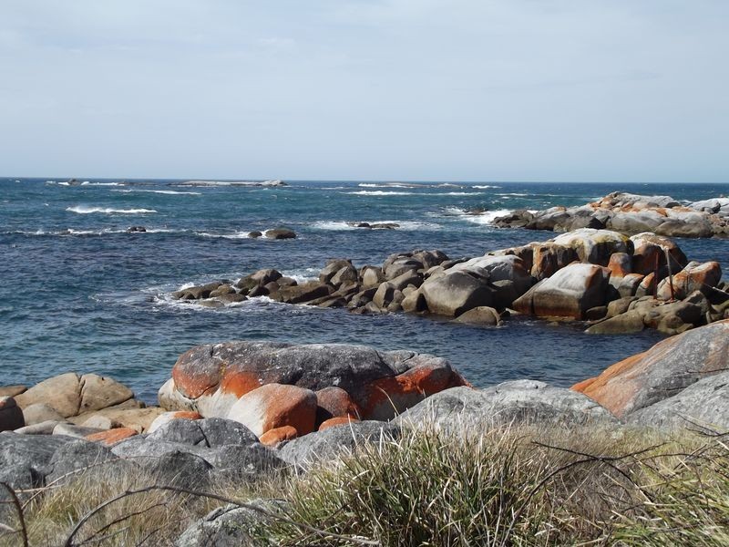 Lot 10 Gardens Road, The Gardens TAS 7216