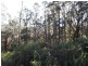 Lottah Road, Lottah TAS 7216