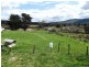Mangana Street, Mathinna TAS 7214