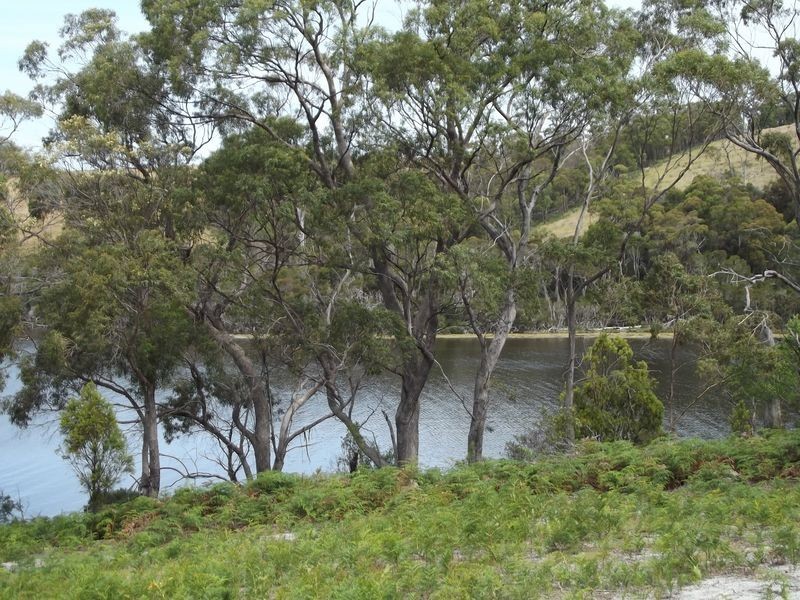 141 Accacia Drive, Ansons Bay TAS 7216