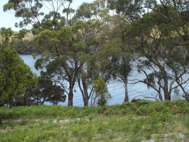 141 Accacia Drive, Ansons Bay TAS 7216