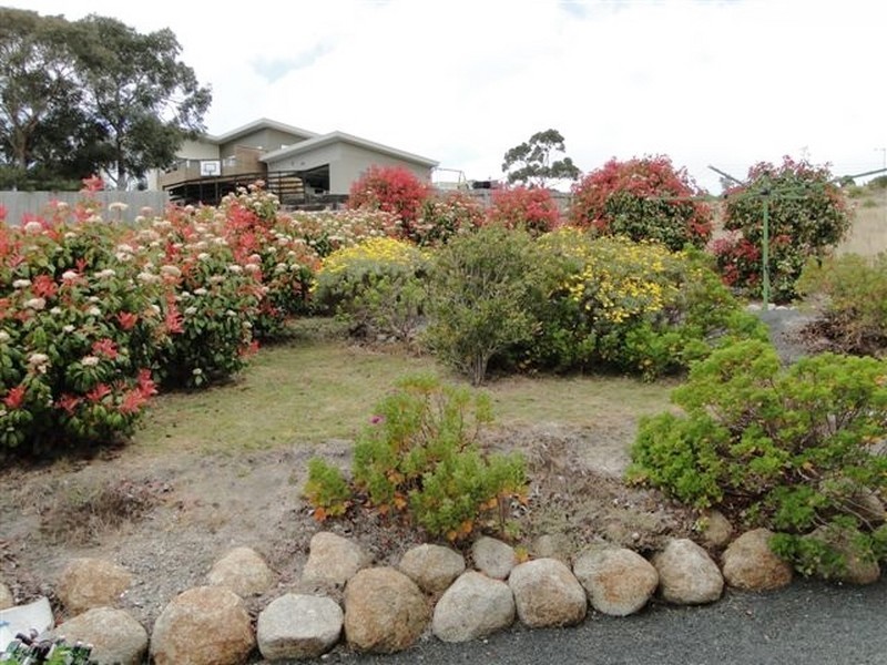 17 Erythos Grove, St Helens TAS 7216
