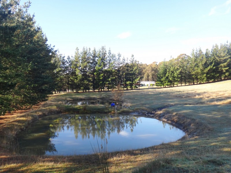 41 Cleland Drive, St Helens TAS 7216