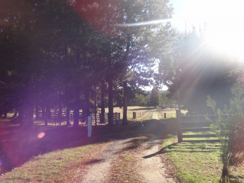 41 Cleland Drive, St Helens TAS 7216