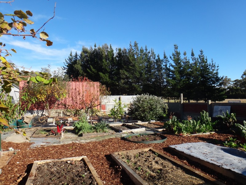 41 Cleland Drive, St Helens TAS 7216