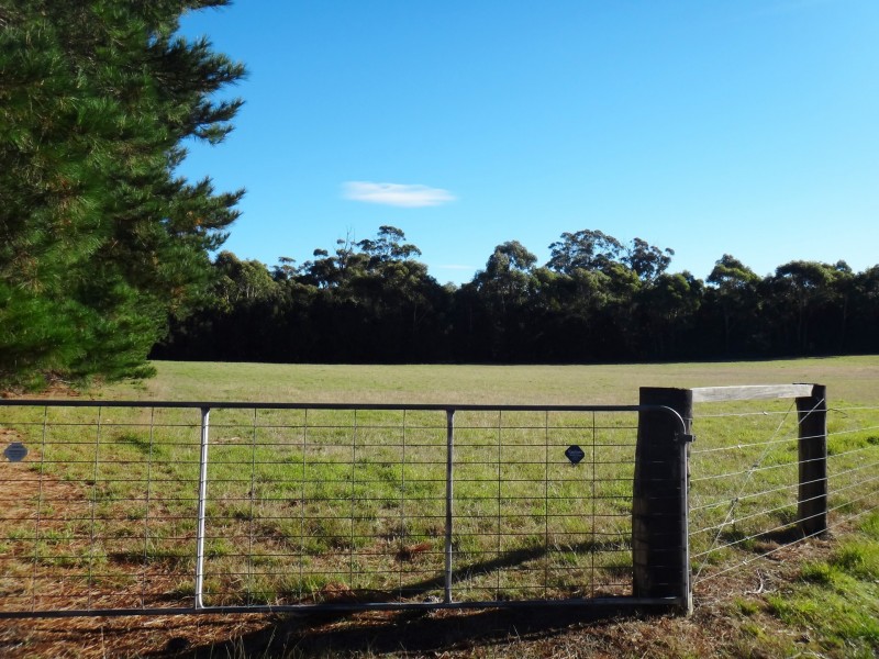 41 Cleland Drive, St Helens TAS 7216