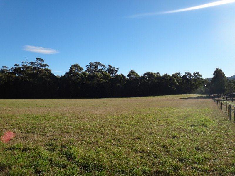 41 Cleland Drive, St Helens TAS 7216