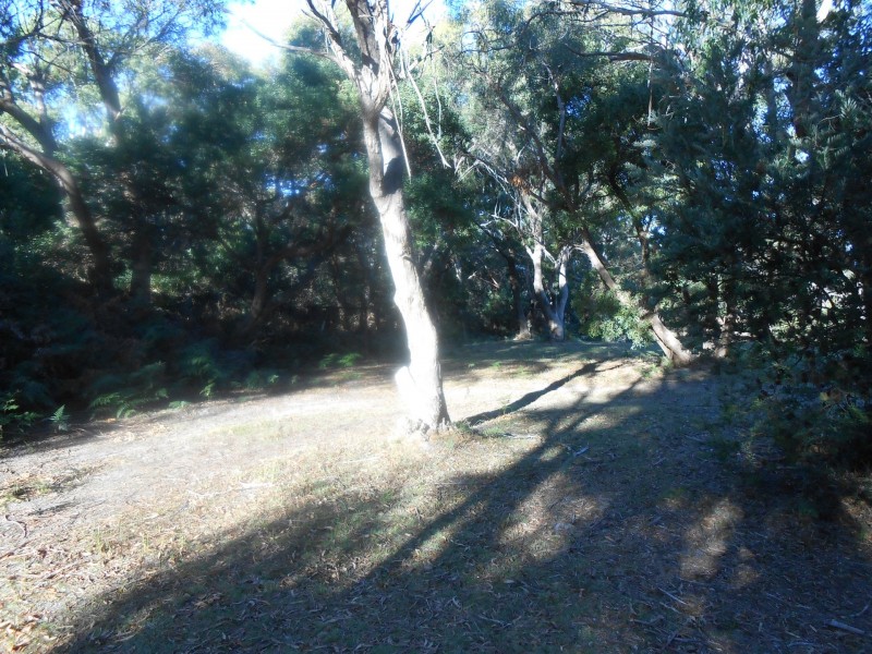 84-86 North Ansons Bay Road, Ansons Bay TAS 7216