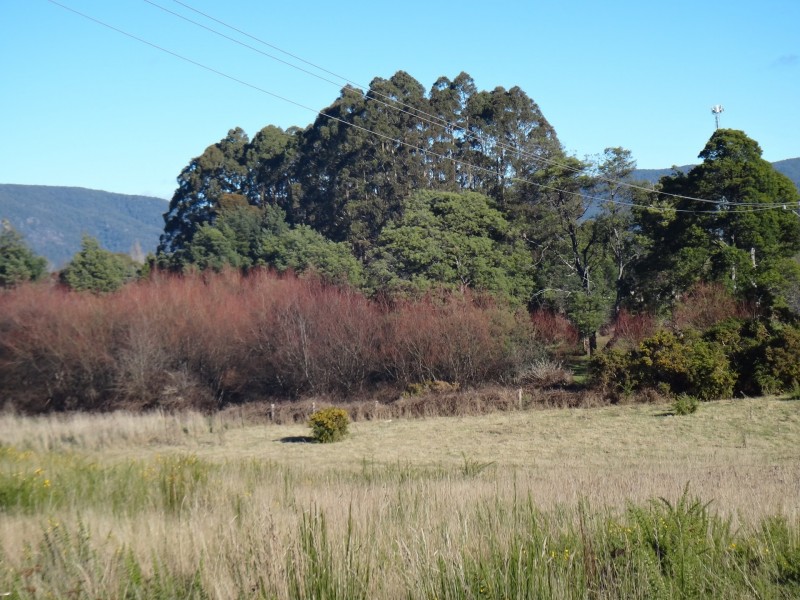 1 Newman Street, St Marys TAS 7215