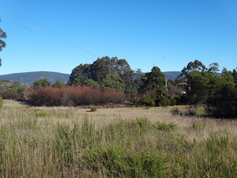 1 Newman Street, St Marys TAS 7215
