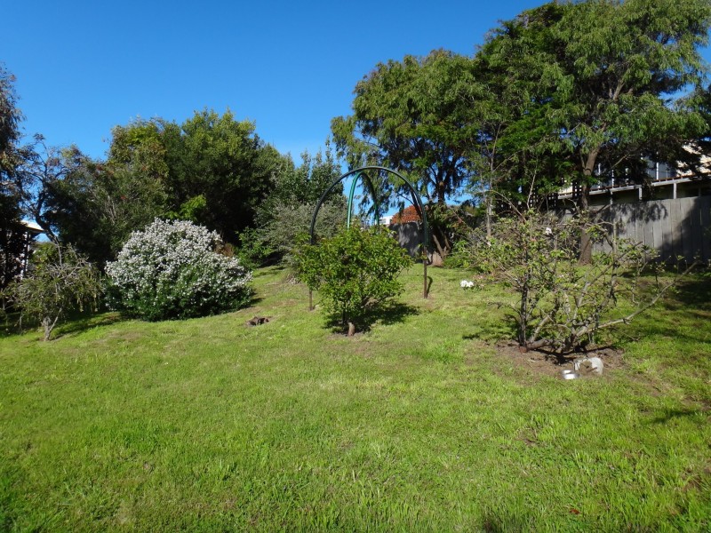 100 Scamander Avenue, Scamander TAS 7215