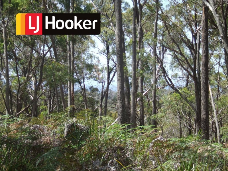 697 Binalong Bay Road, St Helens TAS 7216