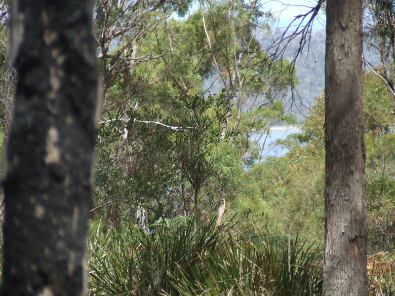 697 Binalong Bay Road, St Helens TAS 7216