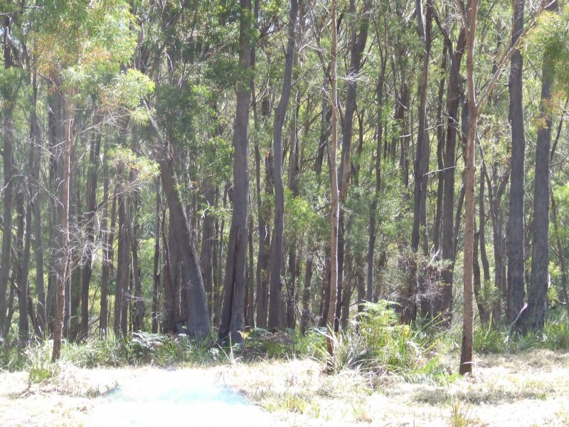 697 Binalong Bay Road, St Helens TAS 7216