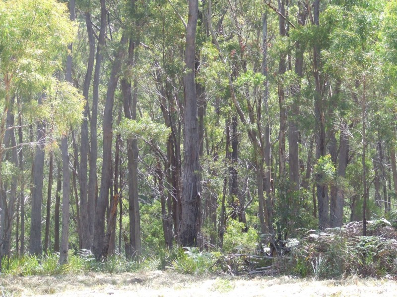 697 Binalong Bay Road, St Helens TAS 7216