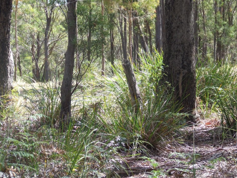 697 Binalong Bay Road, St Helens TAS 7216