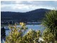 Unit 2/2 Mimosa Street, St Helens TAS 7216