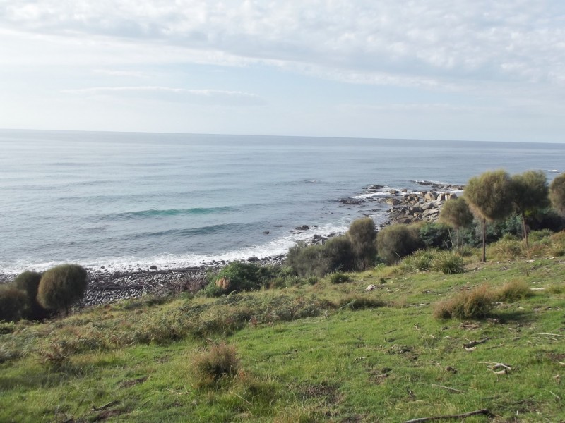 21444 Tasman Highway, Four Mile Creek TAS 7215