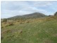 21444 Tasman Highway, Four Mile Creek TAS 7215