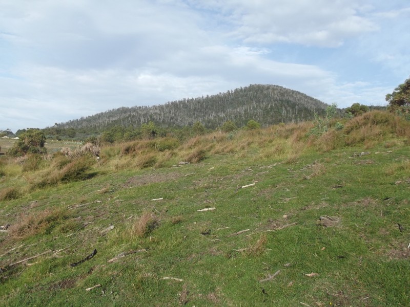 21444 Tasman Highway, Four Mile Creek TAS 7215
