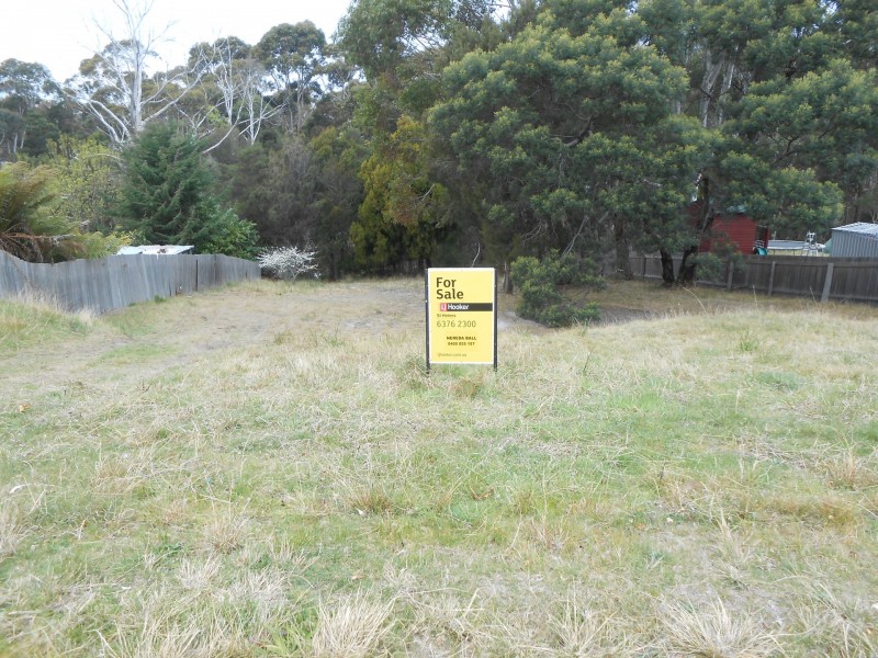 39 Lawry Heights, St Helens TAS 7216
