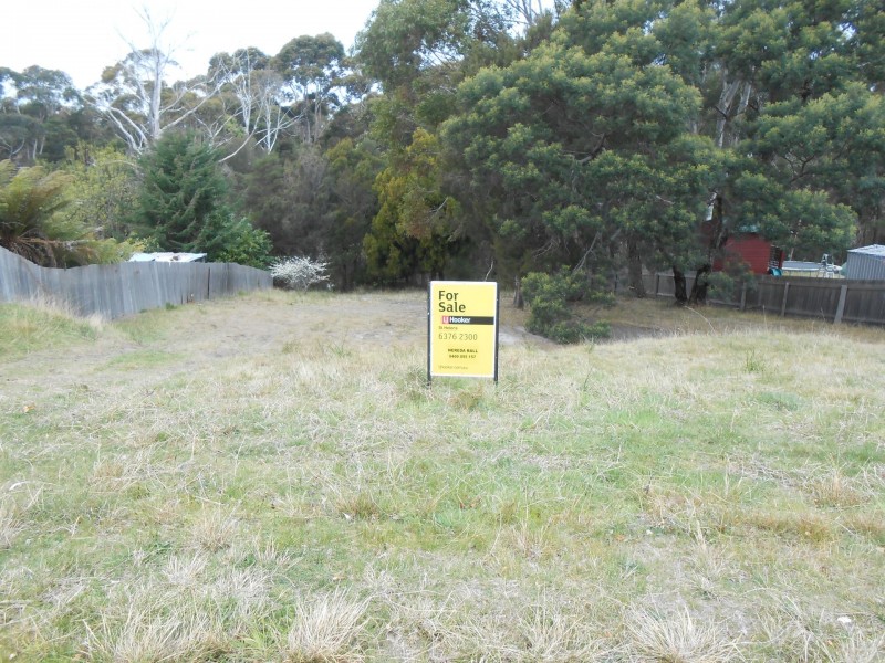 39 Lawry Heights, St Helens TAS 7216