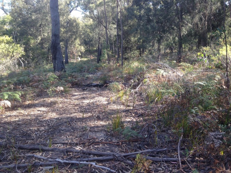 691 Binalong Bay Road, St Helens TAS 7216