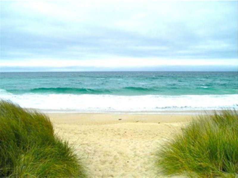 10 Byatt Court, Scamander TAS 7215