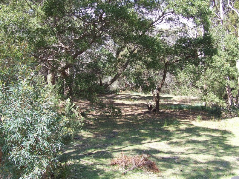 84 North Ansons Bay Road, Ansons Bay TAS 7216