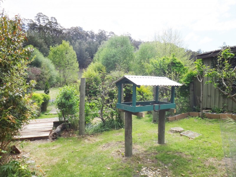 47 Main Street, St Marys TAS 7215