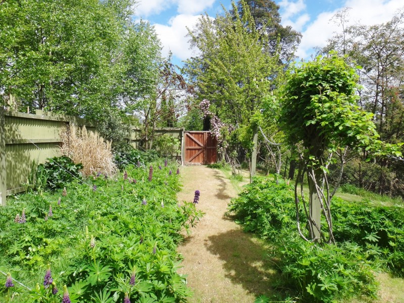 47 Main Street, St Marys TAS 7215