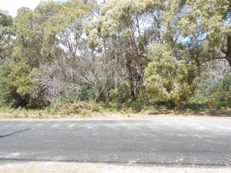 60 North Ansons Bay Road, Ansons Bay TAS 7216