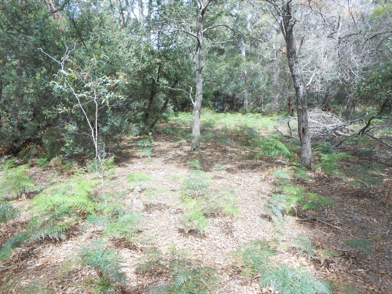 62 North Ansons Bay Road, Ansons Bay TAS 7216